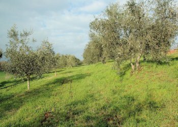 Foto 6 - Rustico Grosseto - foto 6