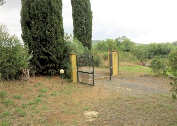 Foto 18 - Rustico Grosseto - foto 18