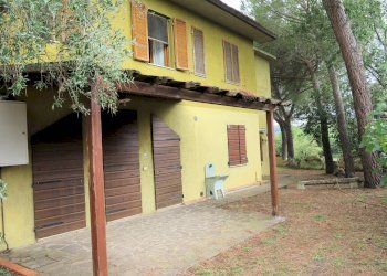 Foto 19 - Rustico Grosseto - foto 19