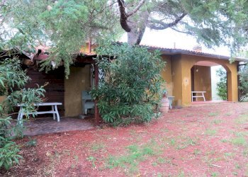 Foto 22 - Rustico Grosseto - foto 22