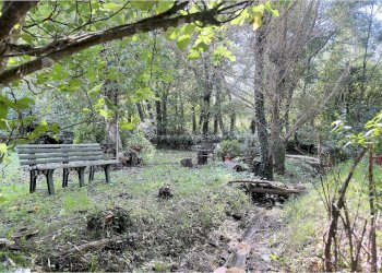 Foto 2 - Rustic Chiusdino - photo 2