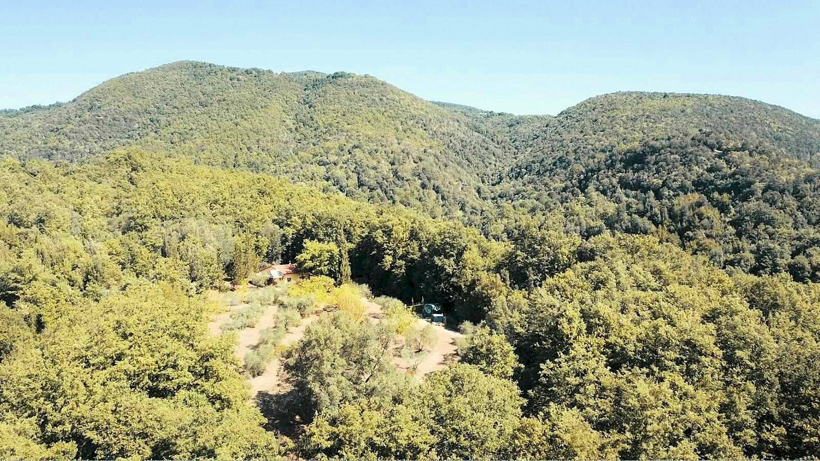 Foto 1 - Rustic Via della Mengona, Roccastrada - photo 1