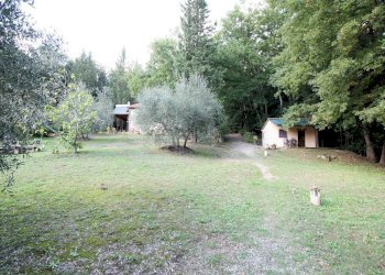 Foto 10 - Rustico Roccastrada - foto 10