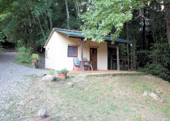 Foto 12 - Rustico Roccastrada - foto 12