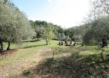 Foto 13 - Rustico Roccastrada - foto 13