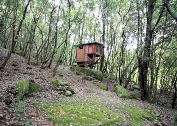 Foto 14 - Rustico Roccastrada - foto 14