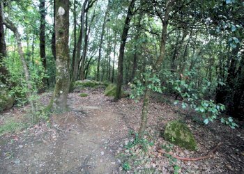 Foto 17 - Rustico Roccastrada - foto 17