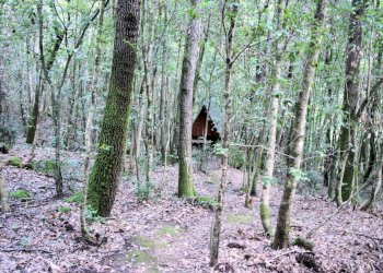 Foto 19 - Rustico Roccastrada - foto 19