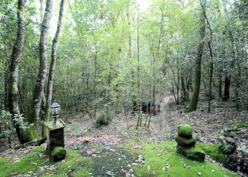 Foto 20 - Rustico Roccastrada - foto 20