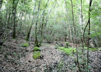 Foto 22 - Rustico Roccastrada - foto 22