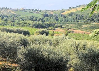 Foto 2 - Rustico Gambassi Terme - foto 2