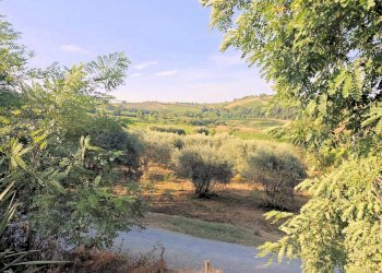 Foto 7 - Rustico Gambassi Terme - foto 7