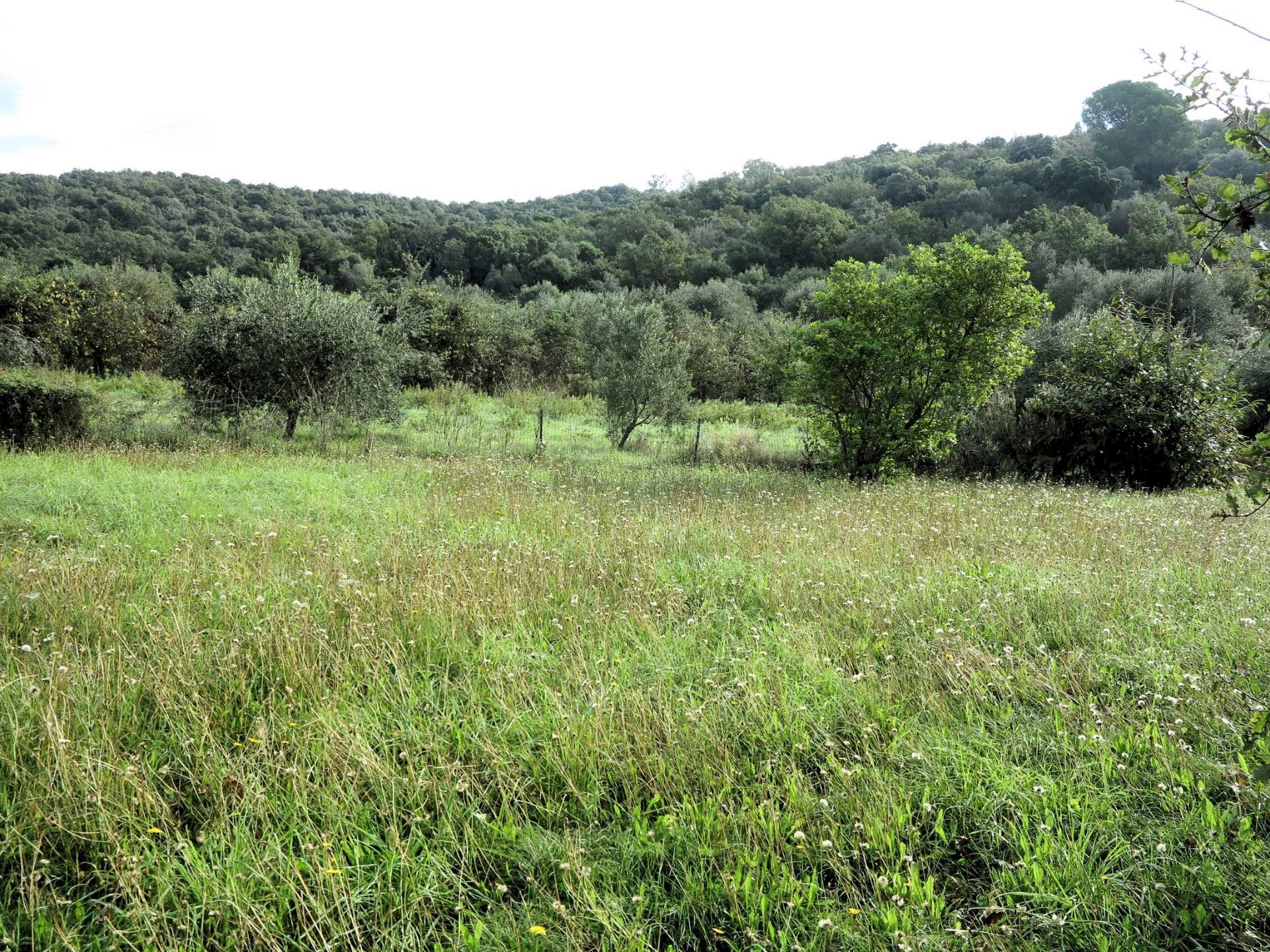 Foto 3 - Independent house Scarlino - photo 3