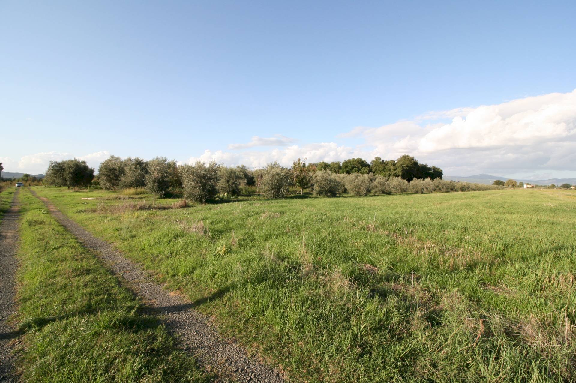 Foto 3 - Rustic via delle selvacce, Roccastrada - photo 3