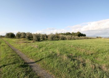 Foto 3 - Rustico via delle selvacce, Roccastrada - foto 3