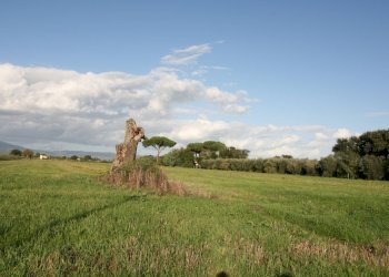 Foto 4 - Rustico via delle selvacce, Roccastrada - foto 4