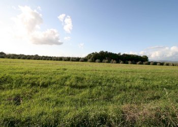 Foto 5 - Rustico via delle selvacce, Roccastrada - foto 5