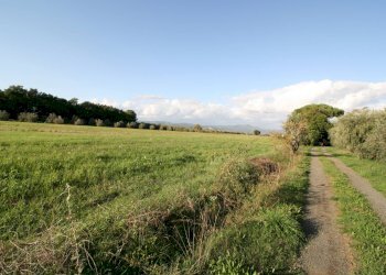 Foto 6 - Rustico via delle selvacce, Roccastrada - foto 6