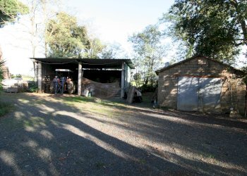 Foto 7 - Rustico via delle selvacce, Roccastrada - foto 7