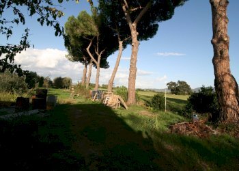 Foto 8 - Rustico via delle selvacce, Roccastrada - foto 8