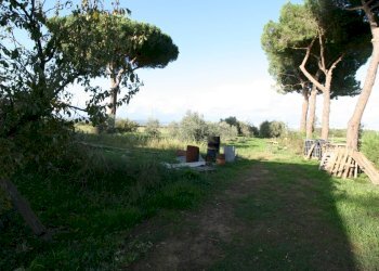 Foto 9 - Rustico via delle selvacce, Roccastrada - foto 9