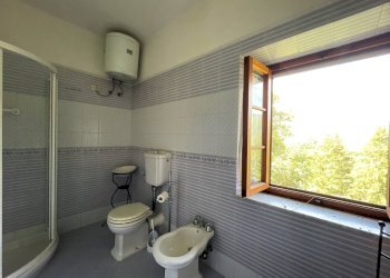 Foto 17 - Rustico Pescia - foto 17