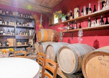 Foto 16 - Rustico San Giuseppe, Montecarlo - foto 16