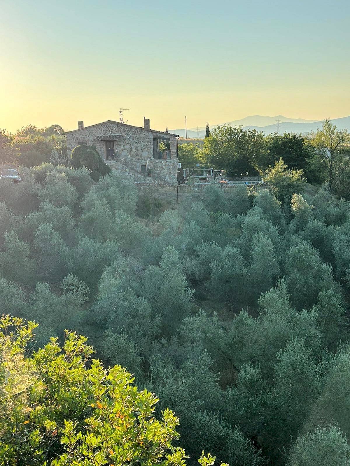 Foto 3 - Rustico Ribolla, Roccastrada - foto 3