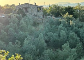 Foto 3 - Rustico Ribolla, Roccastrada - foto 3