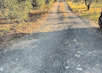 Foto 8 - Rustico Ribolla, Roccastrada - foto 8