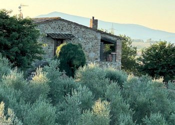 Foto 11 - Rustico Ribolla, Roccastrada - foto 11