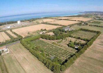 Foto 1 - Rustico Vada, Rosignano Marittimo - foto 1