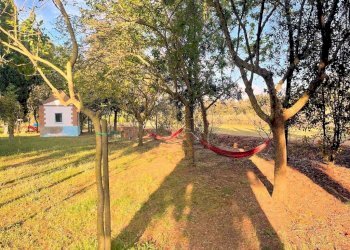 Foto 6 - Rustico Vada, Rosignano Marittimo - foto 6