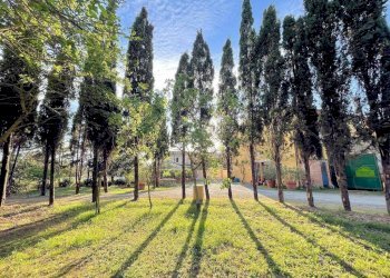 Foto 8 - Rustico Vada, Rosignano Marittimo - foto 8