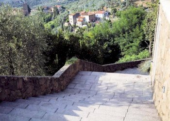 Foto 6 - Rustic Lamporecchio - photo 6