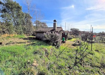 Foto 1 - Rustico Roccastrada - foto 1