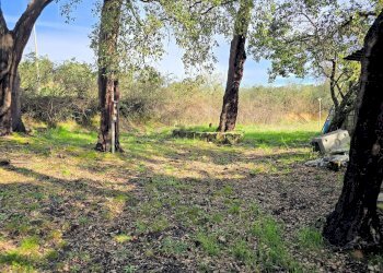 Foto 2 - Rustico Roccastrada - foto 2