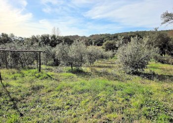 Foto 6 - Rustico Roccastrada - foto 6