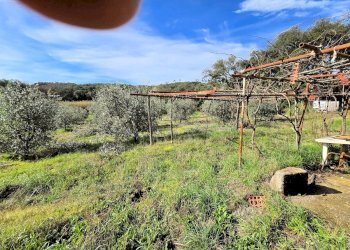 Foto 8 - Rustico Roccastrada - foto 8