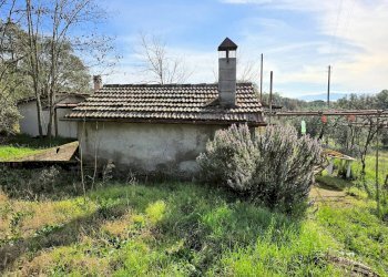 Foto 9 - Rustico Roccastrada - foto 9