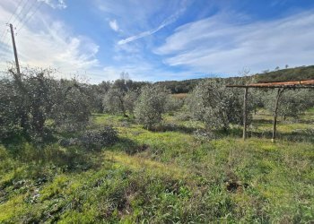 Foto 10 - Rustico Roccastrada - foto 10