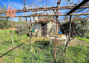 Foto 11 - Rustico Roccastrada - foto 11