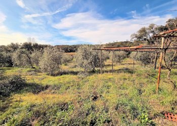 Foto 12 - Rustico Roccastrada - foto 12