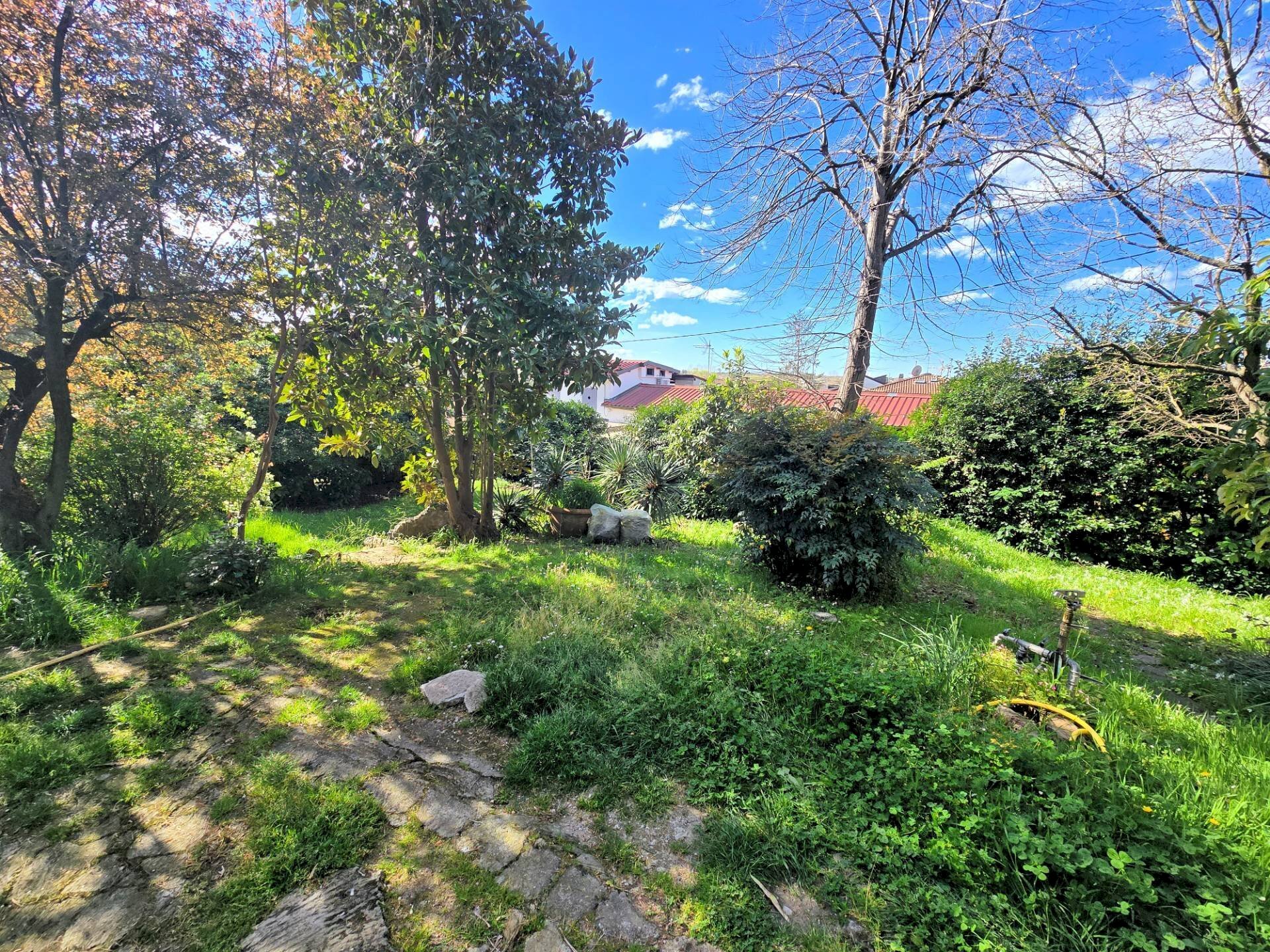 Foto 3 - Apartment Via Paesetto, Camaiore - photo 3