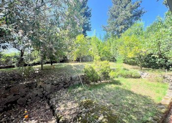 Foto 6 - Appartamento Camaiore - foto 6