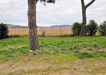 Foto 4 - Rustico Roccastrada - foto 4