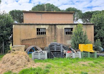 Foto 5 - Rustico Roccastrada - foto 5