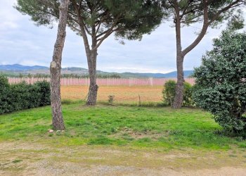 Foto 6 - Rustico Roccastrada - foto 6