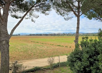 Foto 8 - Rustico Roccastrada - foto 8