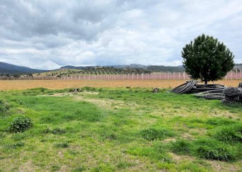 Foto 10 - Rustico Roccastrada - foto 10